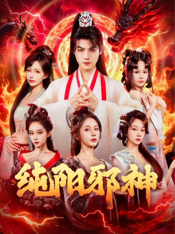 纯阳邪神作品封面